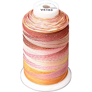 Exquisite Medley Variegated Thread - Flamingo 5000M V5103